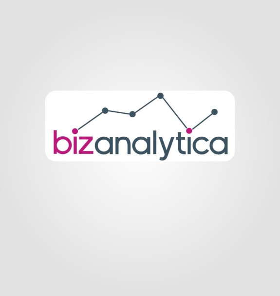 Bizanalytica